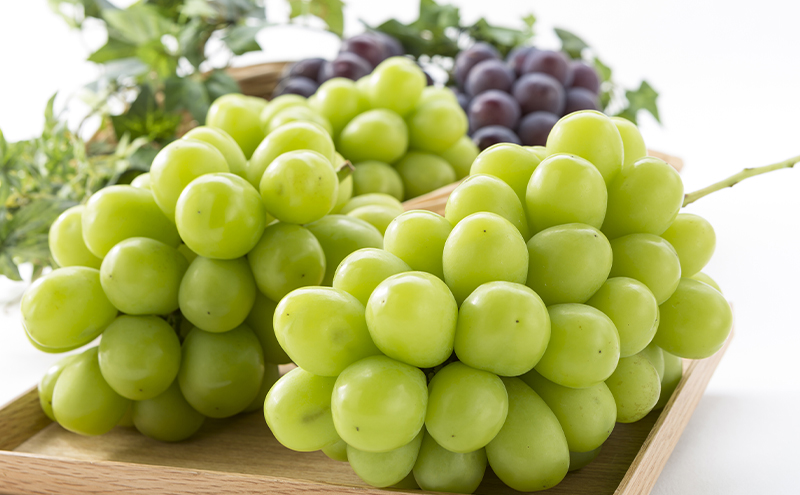 【定期便】【2026年先行予約】 ぶどう 岡山県産 ニューピオーネ ・ クイーンニーナ ・ シャインマスカット 1kg箱（各2～3房） 定期便 3回 《2026年８月下旬-10月中旬頃出荷》 葡萄 ブドウ フルーツ 果物