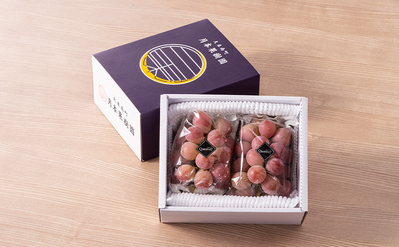 【定期便】【2026年先行予約】 ぶどう 岡山県産 クイーンニーナ ・ シャインマスカット 1kg箱（各2～3房） 定期便 2回 《2026年9月上旬-10月下旬頃出荷》 葡萄 ブドウ 岡山県産 フルーツ 果物 数量限定