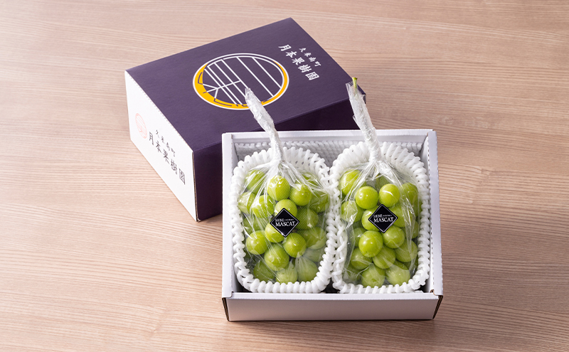 【定期便】【2026年先行予約】 ぶどう 岡山県産 クイーンニーナ ・ シャインマスカット 1kg箱（各2～3房） 定期便 2回 《2026年9月上旬-10月下旬頃出荷》 葡萄 ブドウ 岡山県産 フルーツ 果物 数量限定