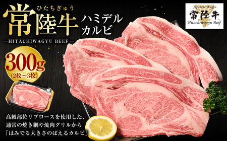 【茨城県守谷市】【常陸牛】ハミデルカルビ300g(2〜3枚)(茨城県共通返礼品 茨城県産)