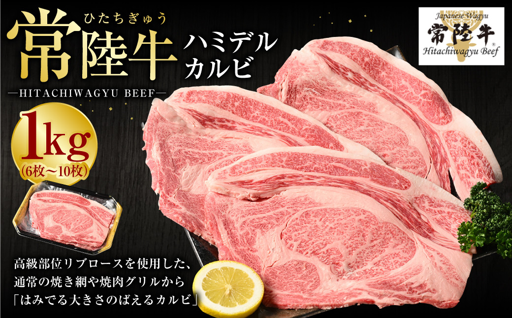 【茨城県守谷市】【常陸牛】ハミデルカルビ1kg(6枚〜10枚)(茨城県共通返礼品 茨城県産)