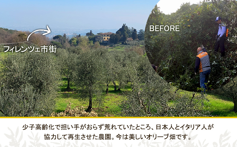 【五つ星ホテル指名買い】 トスカーナ産 エキストラ バージン オリーブオイル (183.2g×3本)【2026年2月発送】 調味料 油 オリーブ油 食用油 静岡県 袋井市