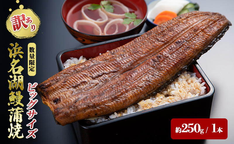 訳アリ・数量限定】浜名湖鰻蒲焼1本（約250g） ビッグサイズ うなぎ
