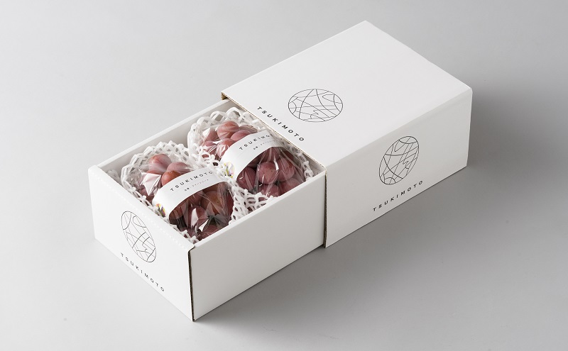 【定期便】【2026年先行予約】 ぶどう 岡山県産 ニューピオーネ ・ クイーンニーナ 1kg箱（各2～3房） 定期便 2回 《2026年8月下旬-9月中旬頃出荷》 葡萄 ブドウ 岡山県産 フルーツ 果物 数量限定 