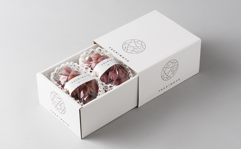 【2026年先行予約】 ぶどう 岡山県産 クイーンニーナ 1kg箱（2～3房） 《2026年8月下旬-9月下旬頃出荷》 葡萄 ブドウ 岡山県産 フルーツ 果物 スイーツ 数量限定 期間限定 岡山 里庄町 ブドウ ぶどう 葡萄 