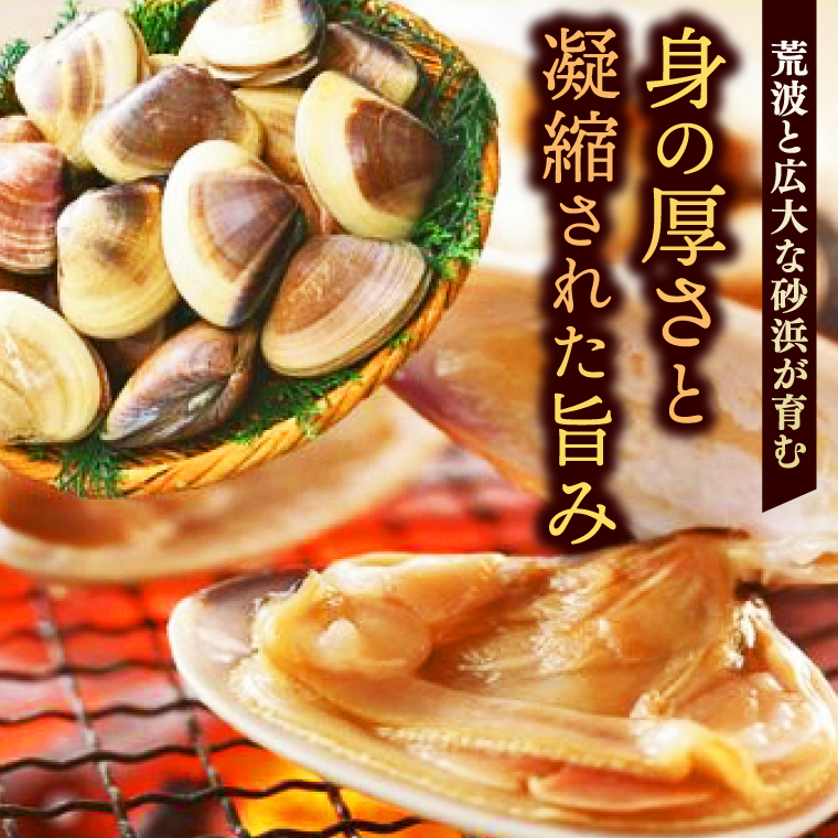 いばらき満喫Aセット 「鹿島灘 はまぐり」＋「【茨城県共通返礼品】茨城県産 常陸牛 サーロイン」【蛤 ハマグリ 牛肉 ステーキ セット バーベキュー BBQ 贈答用 ギフト 鹿嶋市 茨城】(KBL-1)