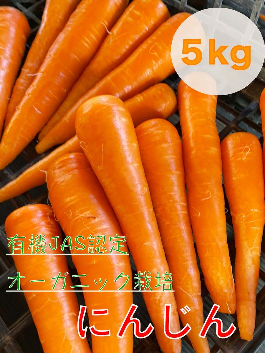 【茨城県鹿嶋市】【先行予約】にんじん 5kg 旬の安心野菜【人参 ニンジン 無農薬 有機 栽培 野菜 サラダ 料理 オーガニック 数量 限定 人気 栄養 茨城県 鹿嶋市】 (KAX-15)