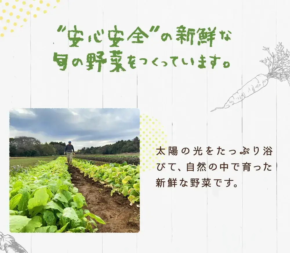 【先行予約】にんじん 5kg 旬の安心野菜【人参 ニンジン 無農薬 有機 栽培 野菜 サラダ 料理 オーガニック 数量 限定 人気 栄養 茨城県 鹿嶋市】 (KAX-15)