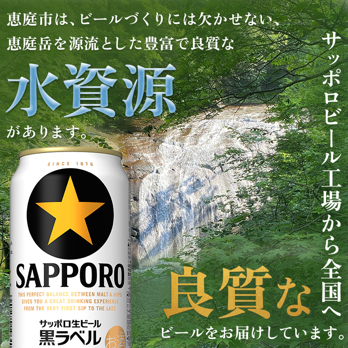 北海道恵庭市のふるさと納税 サッポロ  黒ラベル350ml×24本 ｜ サッポロビール サッポロ ビール 黒ラベル 350ml 24本 生ビール 北海道 ふるさと納税 恵庭市 恵庭【30006706】