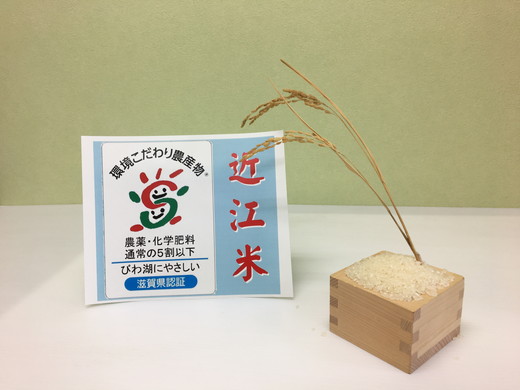 【令和7年産】環境こだわり米「みずかがみ」白米【10kg×1袋】【K074W】