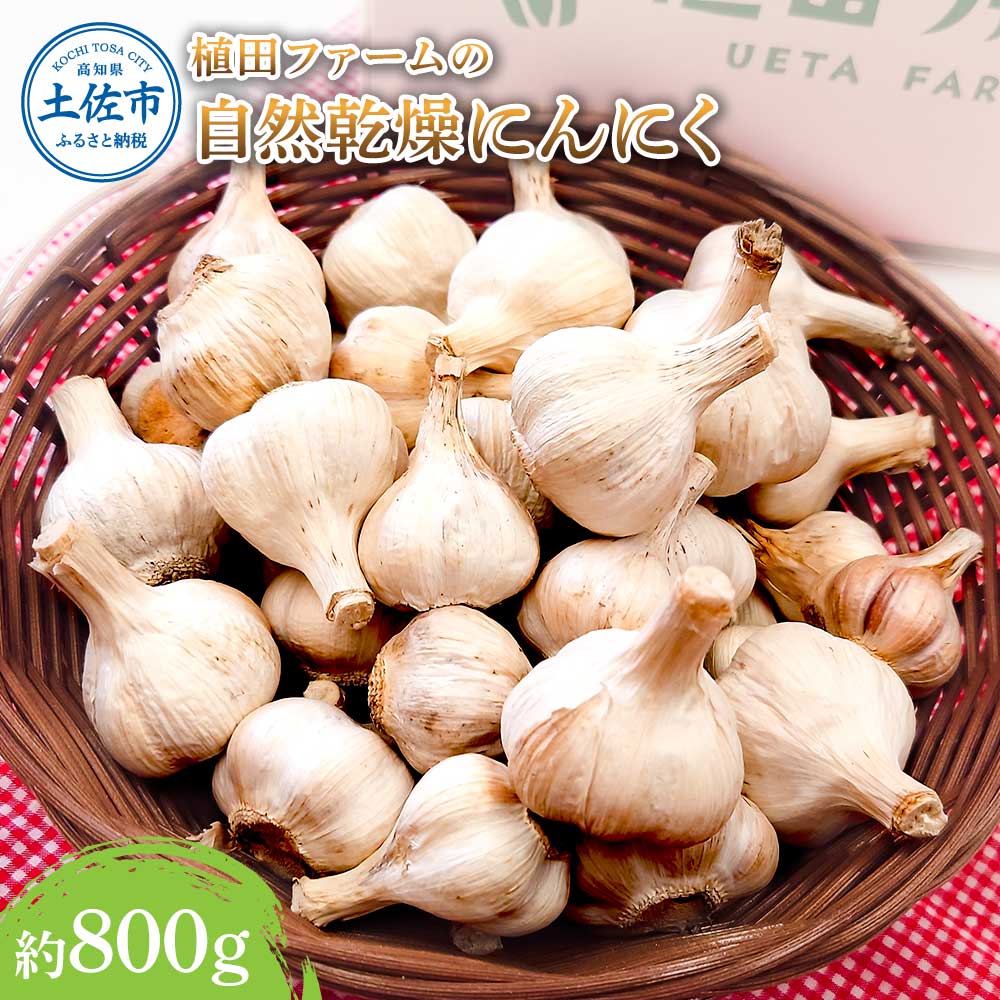 ymyszAct@[̎Rɂɂ800g 800O jjN K[bN ܂   ݖЂ K[bNIC yy`[m pX^ XpQbeB Xe[L _ 