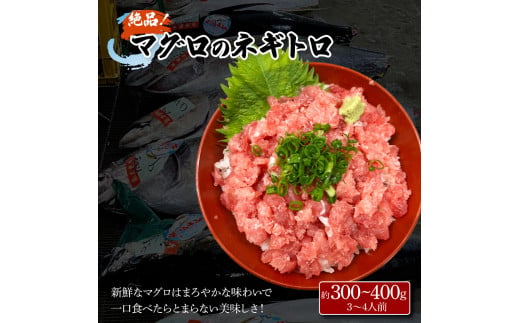 土佐の魚とお酒のおきゃくセット C（ネギトロコース）マグロのネギトロ 約380～400g 3～4人前