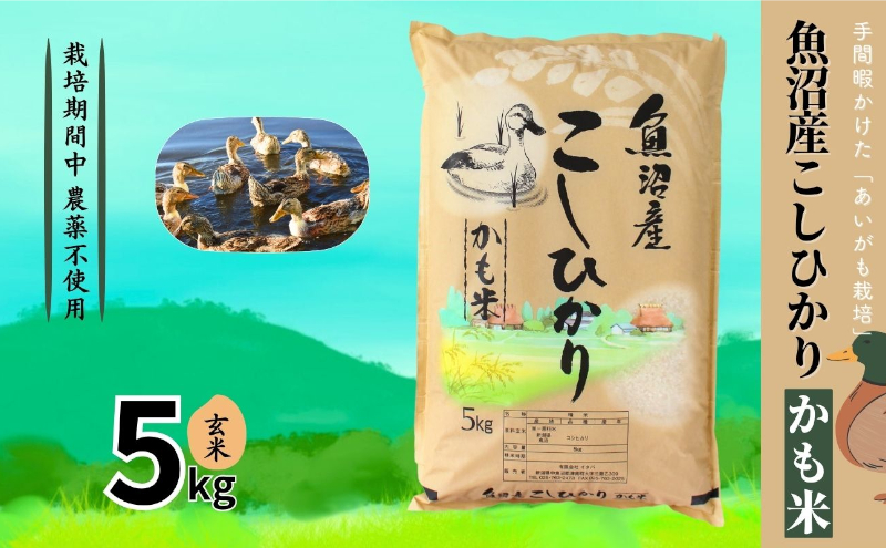 [令和7年産]魚沼産コシヒカリかも米(玄米)5kg ※栽培期間中農薬不使用 米 お米 こしひかり 玄米 かも米 中魚沼 新潟県 十日町市