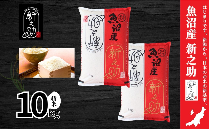 【令和7年産】魚沼産新之助(精米)10kg 米 お米 精米 しんのすけ 中魚沼 新潟県 十日町市