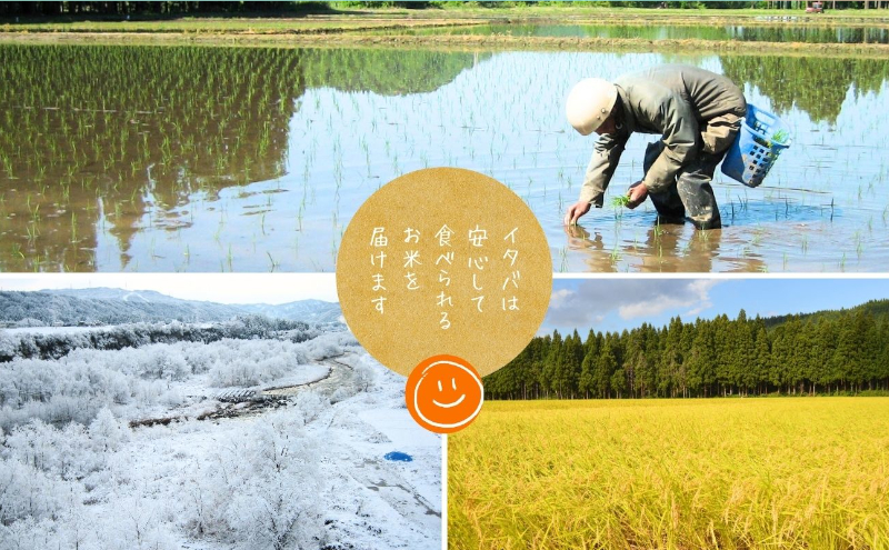 【令和7年産】魚沼産新之助(玄米)30kg 米 お米 玄米 しんのすけ 中魚沼 新潟県 十日町市