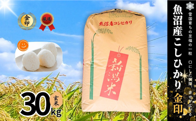 【令和7年産】魚沼産コシヒカリ金印(玄米)30kg 米 お米 こしひかり 玄米 中魚沼 新潟県 十日町市
