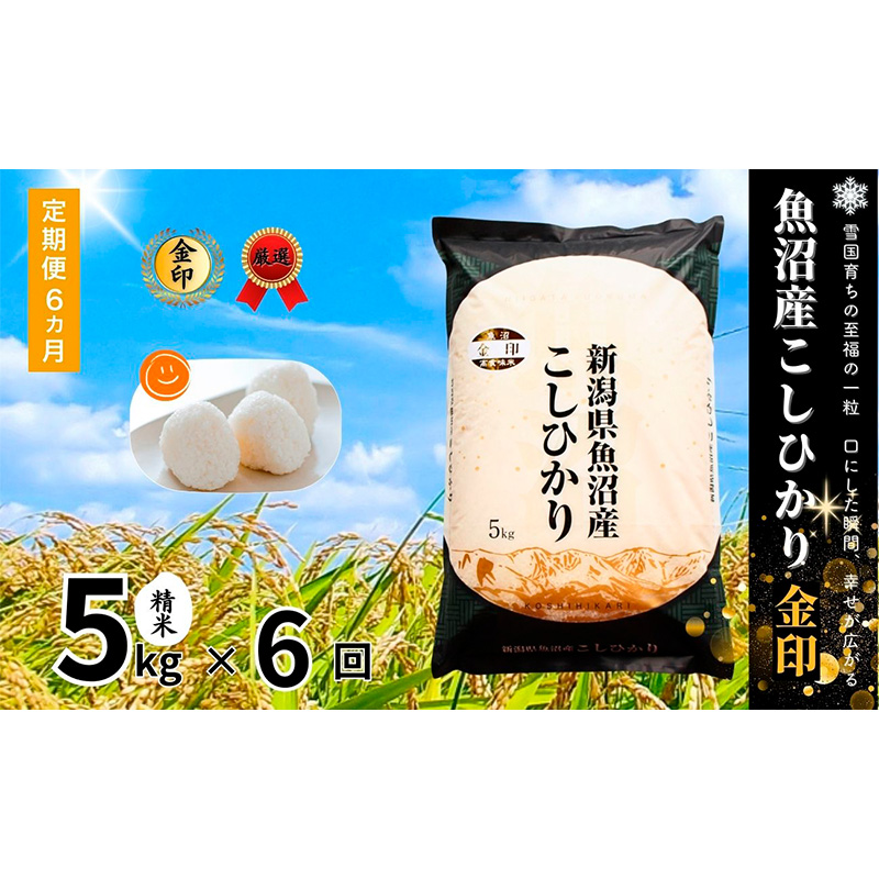 yV\szyցzYRVqJ()5kg@S6   Ђ    V \s