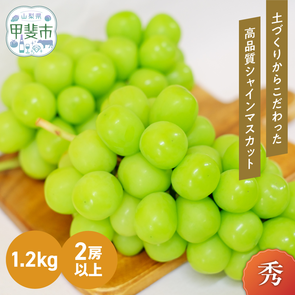【2025年発送】土にこだわったシャインマ
