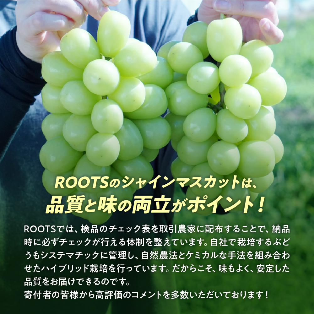 山梨県甲斐市のふるさと納税 【2025年発送】土にこだわったシャインマスカット 1.2kg 2房以上 先行予約 山梨県産 朝採り 新鮮 シャインマスカット 国産 産地直送 人気 おすすめ 贈答 ギフト お取り寄せ フルーツ 果物 くだもの ぶどう ブドウ 葡萄 新鮮 甘い 皮ごと 甲斐市 BI-5