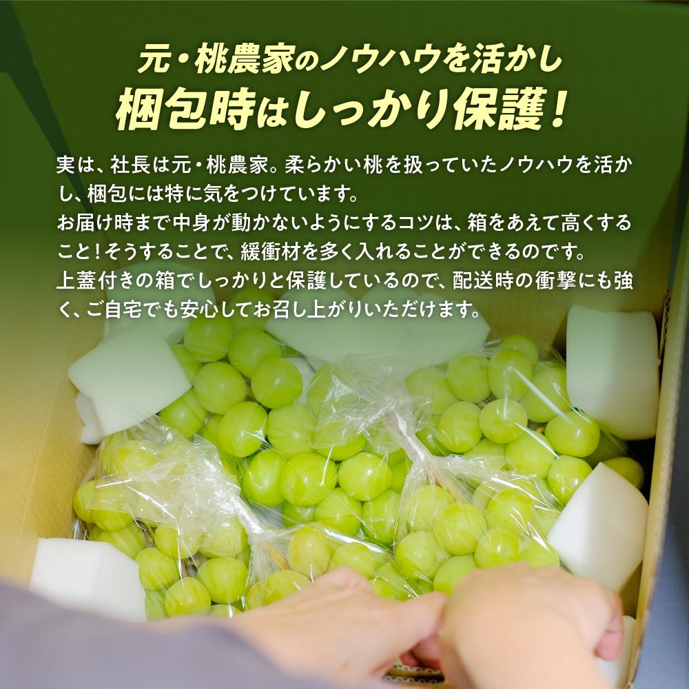 山梨県甲斐市のふるさと納税 【2025年発送】土にこだわったシャインマスカット 1.2kg 2房以上 先行予約 山梨県産 朝採り 新鮮 シャインマスカット 国産 産地直送 人気 おすすめ 贈答 ギフト お取り寄せ フルーツ 果物 くだもの ぶどう ブドウ 葡萄 新鮮 甘い 皮ごと 甲斐市 BI-5