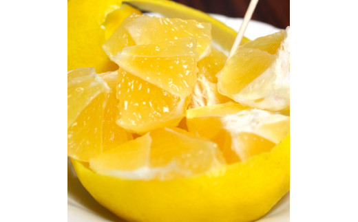 SKS066　【先行予約】訳あり 土佐小夏 2.5kg 2.5キロ サイズお任せ こなつ コナツ 柑橘 かんきつ 柑橘類 フルーツ 果物 くだもの デザート おやつ ジュース ジャム 美味しい 家庭用 ご自宅用 訳アリ