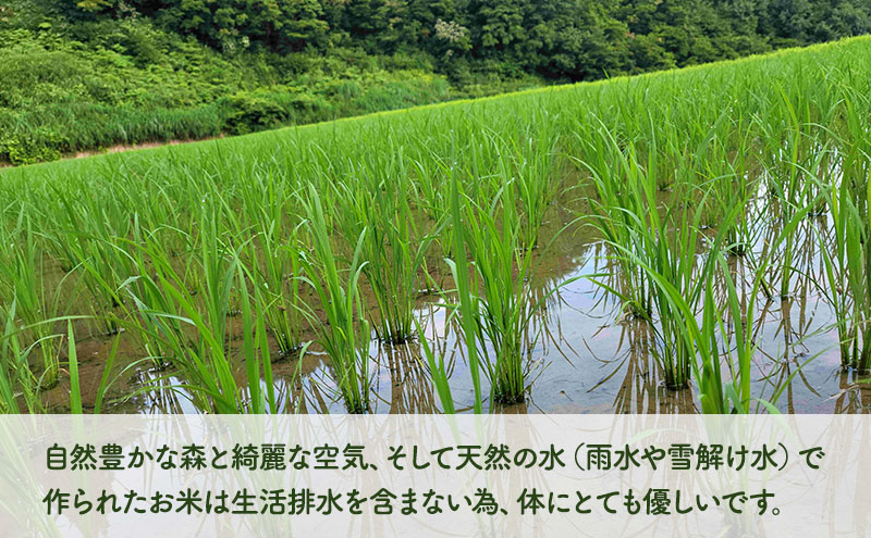 農家直送 新潟県十日町市 魚沼産天水田 コシヒカリ お山のまんま 白米 5kg×2袋セット お米 