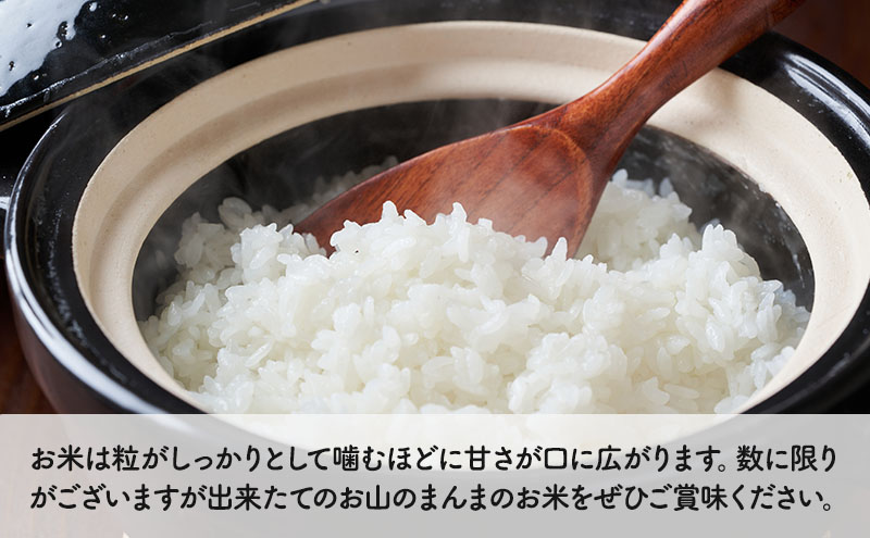 農家直送 新潟県十日町市 魚沼産天水田 コシヒカリ お山のまんま 白米 5kg お米 