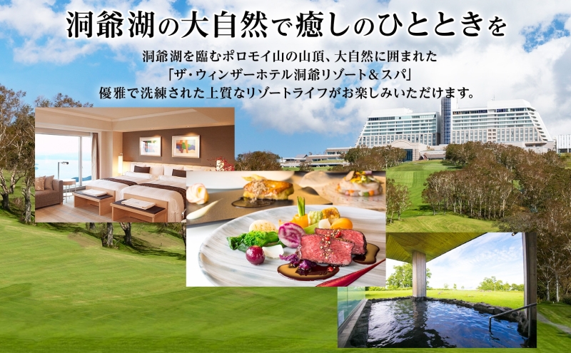 北海道洞爺湖町のふるさと納税 【セゾン限定】マカロン10個セット お菓子 スイーツ  菓子 おやつ スイーツ 洋菓子 生菓子 製菓  パティスリー オリジナル カフェ ティータイム 贈り物 ギフト 人気 土産 お取り寄せ 送料無料 ザ・ウィンザーホテル洞爺 洞爺湖