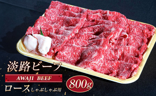 yɌWHszWHr[t [XiԂԗpj WOO