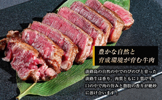 淡路牛 ヒレ（ステーキ用） １ｋｇ　ヘレ フィレ 冷凍