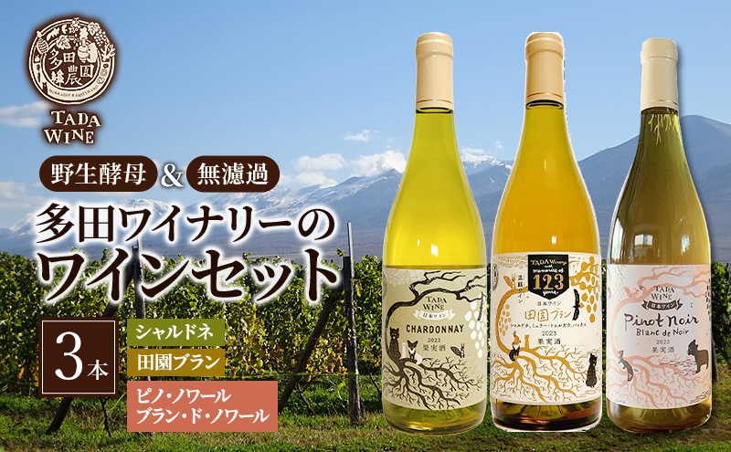 ◇定期便(全12回)◇SORACHI 1984≪ソラチ1984≫1箱（350ml×12缶） 吉澤