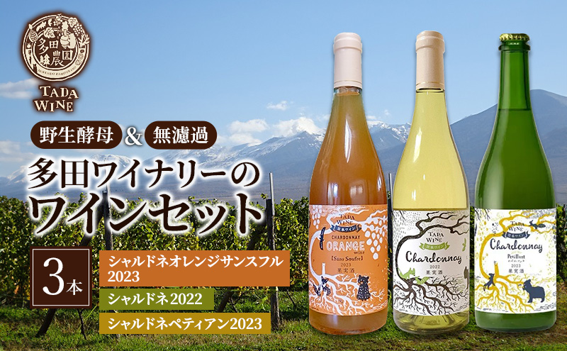 ◇定期便(全12回)◇SORACHI 1984≪ソラチ1984≫1箱（350ml×12缶） 吉澤