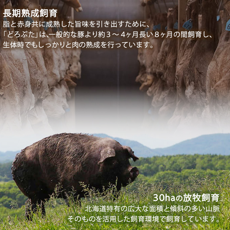 十勝幕別産ブランド放牧豚［どろぶた］しゃぶしゃぶセット【 北海道 豚肉 しゃぶしゃぶ 薄切り スライス ロース バラ】 