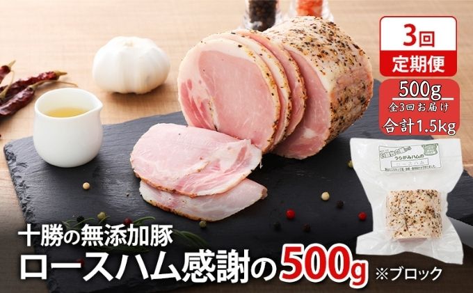 規格外】十勝幕別 忠類ゆり根 500g（M～2L）3～5玉【 北海道