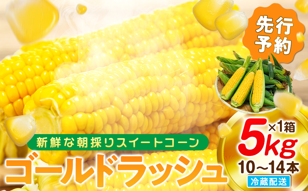 [先行予約 6月下旬から出荷] スイートコーン 約5kg 10〜14本 冷蔵 国産 とうもろこし 先行予約 数量限定 コーン 野菜 新鮮 焼き 蒸し 産地 直送 甘い 甘口 子ども 子供 小分け 種子 肥料 さわやか すっきり 糖度 黄色 人気 おすすめ 愛知県 南知多町