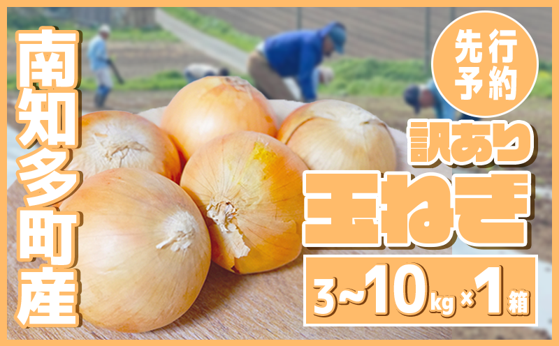 【先行予約 容量選べる】 訳あり 玉ねぎ 3～10kg (1箱)  【5月以降発送】 野菜 オニオン 甘い 玉葱 肉じゃが ハンバーグ 家庭用 大きさ不揃い たまねぎ
