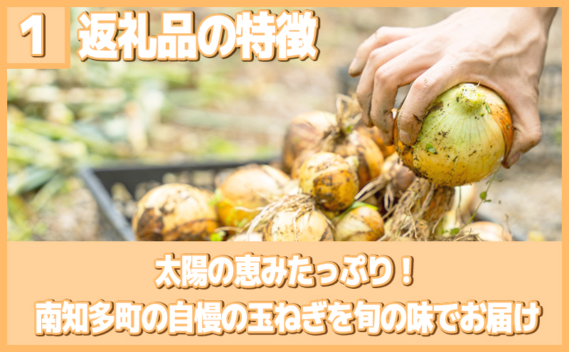 【先行予約 容量選べる】 訳あり 玉ねぎ 3～10kg (1箱)  【5月以降発送】 野菜 オニオン 甘い 玉葱 肉じゃが ハンバーグ 家庭用 大きさ不揃い たまねぎ