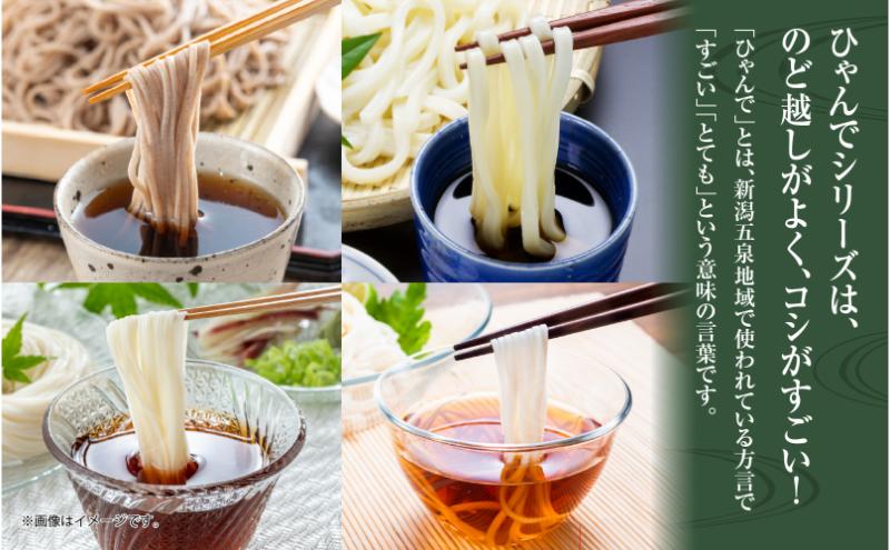 ひゃんで 乾麺4種セット 600g 各2袋 計8袋 約48人前 そば うどん そうめん ひやむぎ  蕎麦 饂飩 素麺 冷や麦 麺 乾めん 自家用 お中元 お歳暮 贈り物 お取り寄せ 備蓄 保存 便利 ギフト 松代そば善屋 新潟県 十日町市