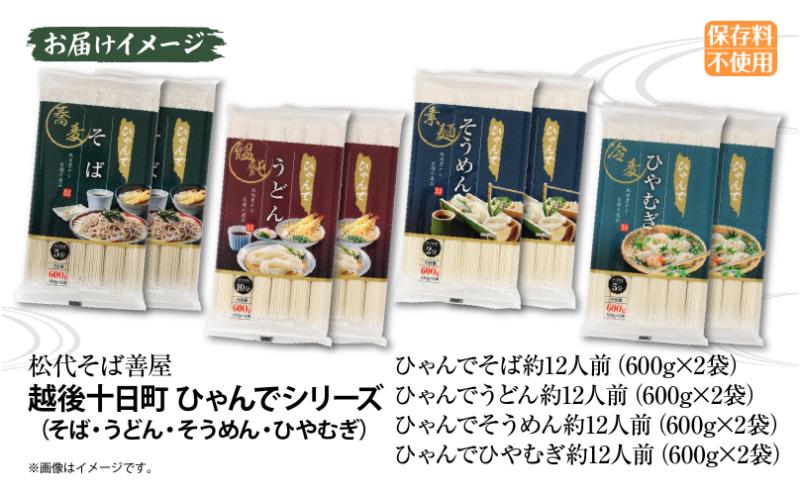 ひゃんで 乾麺4種セット 600g 各2袋 計8袋 約48人前 そば うどん そうめん ひやむぎ  蕎麦 饂飩 素麺 冷や麦 麺 乾めん 自家用 お中元 お歳暮 贈り物 お取り寄せ 備蓄 保存 便利 ギフト 松代そば善屋 新潟県 十日町市