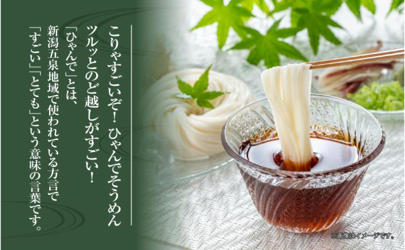 ひゃんで そうめん 600g 8袋 約48人前 素麺 ソーメン 干しそうめん にゅうめん ファミリー 麺 乾めん 自家用 お中元 お歳暮 お取り寄せ 備蓄 保存 便利 ギフト 越後 魚沼 常温 松代そば善屋 新潟県 十日町市