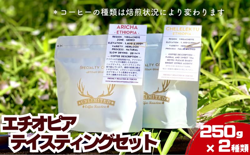 【東京都墨田区】エチオピア テイスティングセット 250g × 2種類 ドリンク コーヒー スペシャルティコーヒー