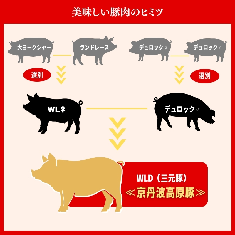 国産豚肉 しゃぶしゃぶ用 バラ肉 1kg 京丹波高原豚 ブランド豚 ブランド豚肉 豚肉 三元豚 豚 お肉 肉 国産 国産肉 しゃぶしゃぶ しゃぶしゃぶ用 しゃぶしゃぶ用肉 豚しゃぶ 豚しゃぶ肉 豚バラ 豚バラ肉 京都 京都府 南丹市