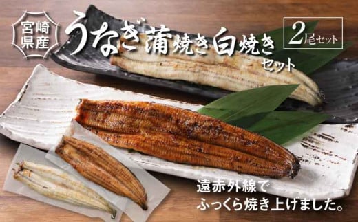 宮崎県産 うなぎ 白焼き 蒲焼き 2尾セッ