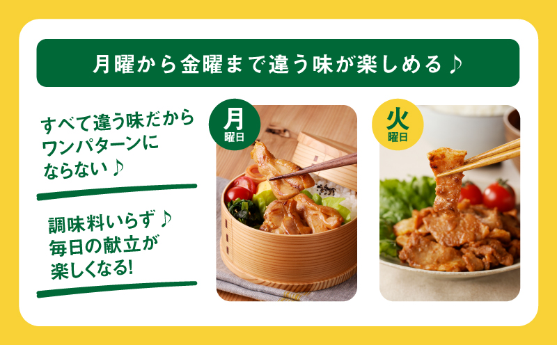 宮崎県木城町のふるさと納税 【7日以内に発送 一人暮らし応援・子育て応援・時短・お弁当】スピードお届け!  ChaChatぐるめ15個バラエティセット K16_0040_2 お弁当のおかず 簡単調理 時短 調理済み みそ豚 5種類×3 真空 国産豚肉 国産若鶏 お惣菜 冷凍 焼くだけ 一人暮らし 手軽 宮崎県産 スピード調理 スピード発送 送料無料