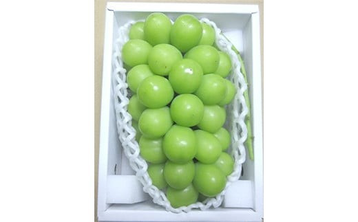 山形県南陽市のふるさと納税 【令和7年産先行予約】 クリスマス シャインマスカット 750g以上 (1房 秀) 《令和7年12月19日～発送》 『フナヤマ農園』 山形県 南陽市 [1112]