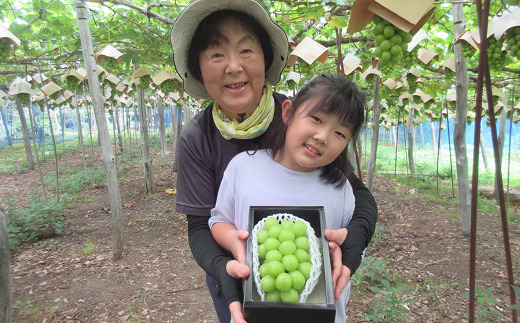 山形県南陽市のふるさと納税 【令和7年産先行予約】 クリスマス シャインマスカット 750g以上 (1房 秀) 《令和7年12月19日～発送》 『フナヤマ農園』 山形県 南陽市 [1112]