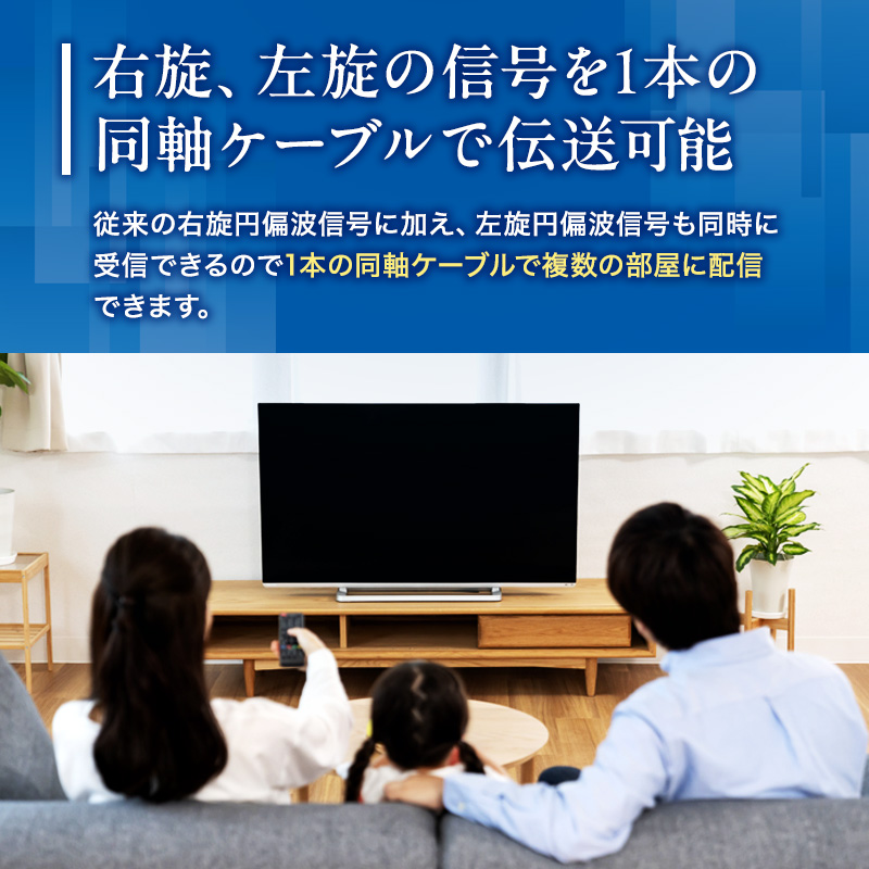 アンテナ BS・110° CSアンテナ BC45RL セット 電化製品 テレビ 壁面用 屋外 