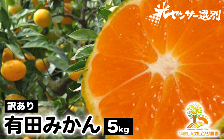 【和歌山県美浜町】【先行受付】【訳あり】有田みかん 5kg | 農家直送 訳あり ご家庭用 サイズ混合 光センサー選別 温州みかん みかん 訳あり わけあり 家庭用 ※2025年11月中旬〜12月下旬頃に順次発送予定※北海道・沖縄・離島への配送不可