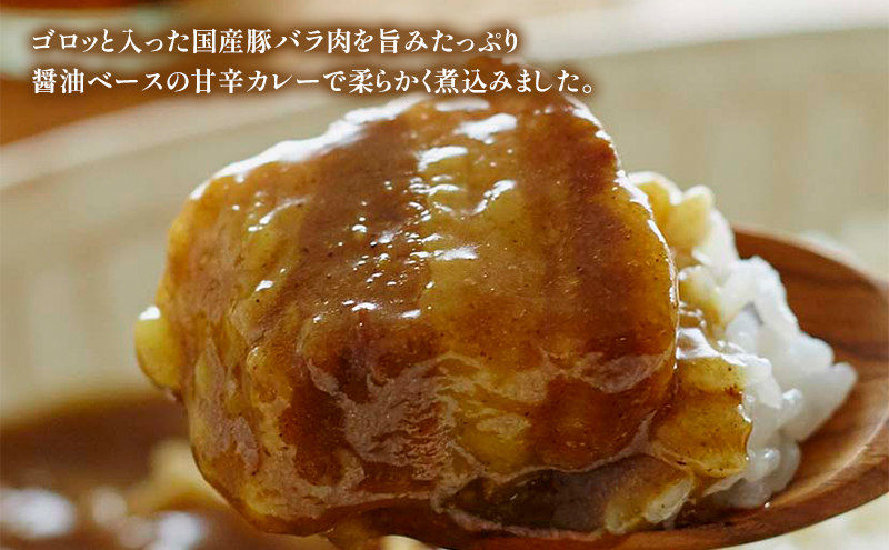 【特別寄附額】カレー 豚の角煮カレー 10個 セット NISHIKIYA KITCHEN レトルト レトルト食品 非常食 備蓄 贈り物 プレゼント ギフト 贈答品 ニシキヤキッチン にしき ニシキ にしき食品 岩沼