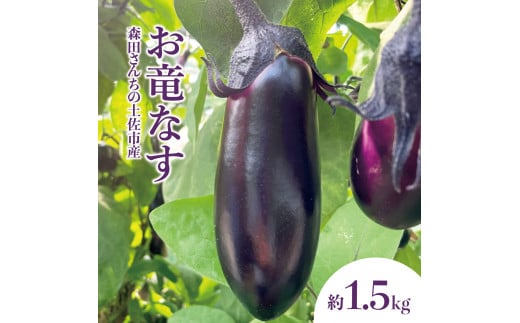 ymyszXc񂿂̓ysYȂ 1.5kg 1.5L 16`21{ 1{80g ֎q iX Ȃ  VN Ă֎q ϐZ Е Ђ ʂЂ X`  ٓ  Hi